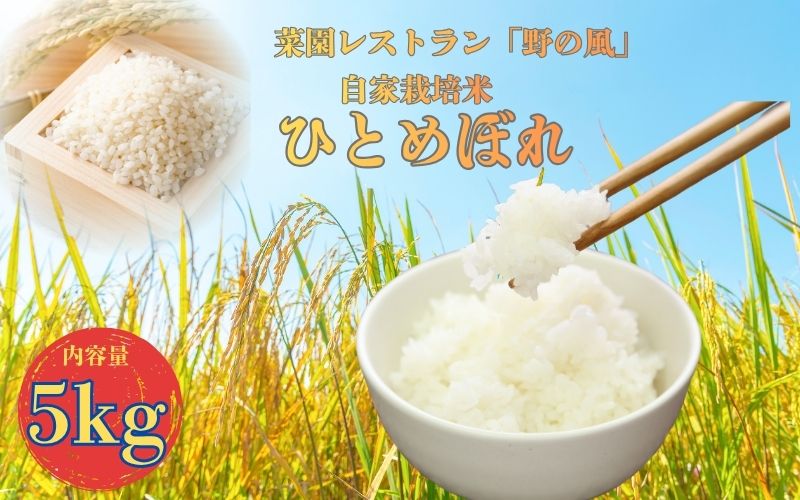 【令和7年産】数量限定　菜園レストラン「野の風」自家栽培米　ひとめぼれ5kg /  精米 小分け 人気 ランキング  お米 米 ひとめぼれ