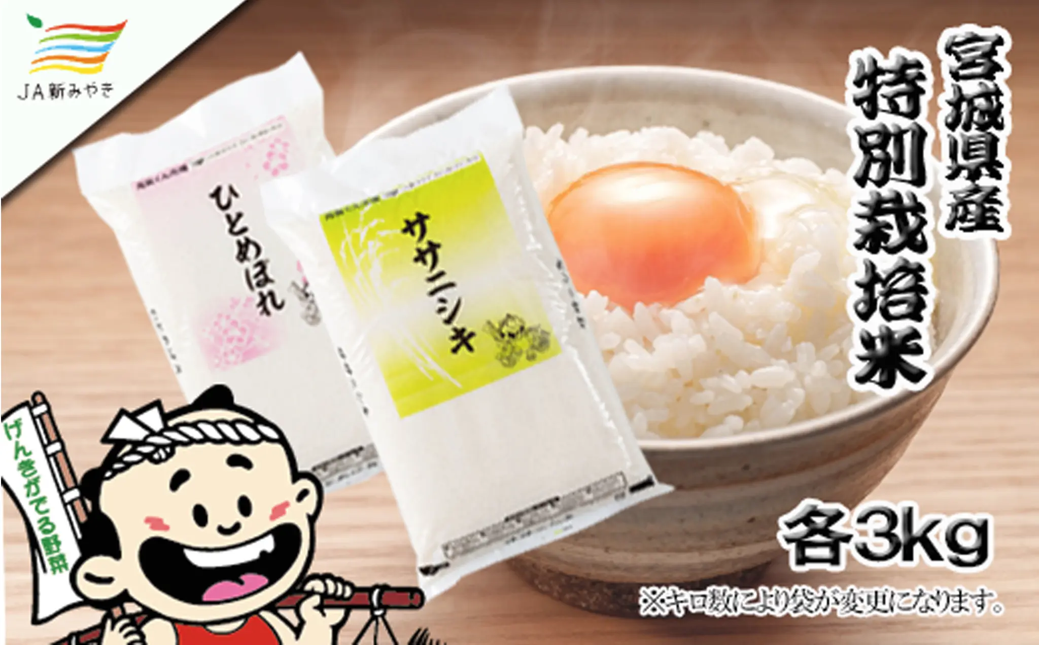 元気くん市場  宮城の美味しいお米食べ比べセット（Ａ）/  精米 小分け 人気 ランキング  お米 米 つや姫