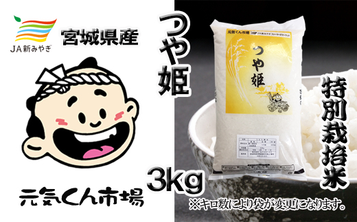 元気くん市場  つや姫 3kg  /  精米 小分け 人気 ランキング  お米 米 つや姫