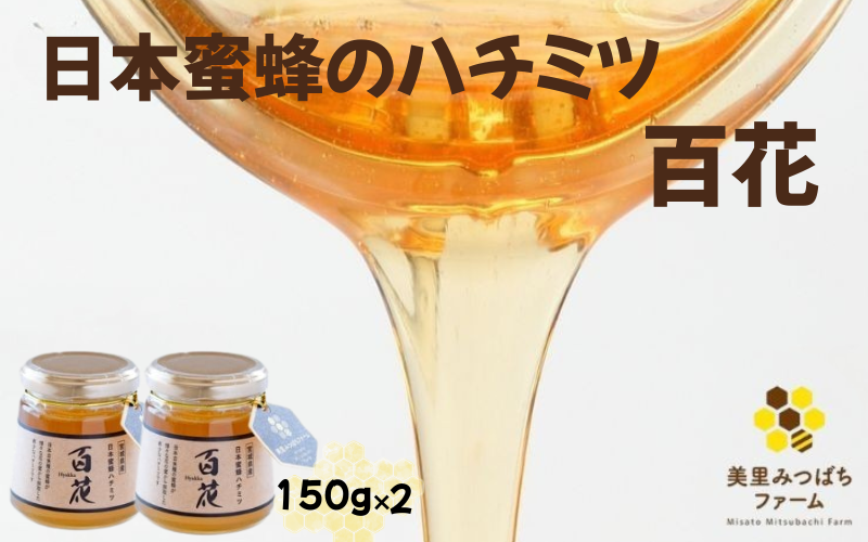 日本蜜蜂のハチミツ（150g×2）瓶入り/ はちみつ みつばち ハチミツ 天然 日本蜂蜜 蜂蜜