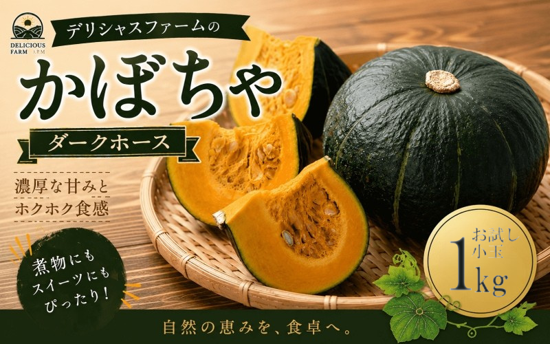 かぼちゃ 【デリシャスファームのかぼちゃ】ダークホース お試し小玉1キロ ※6月頃より順次発送予定 / 産地直送 カボチャ 南瓜