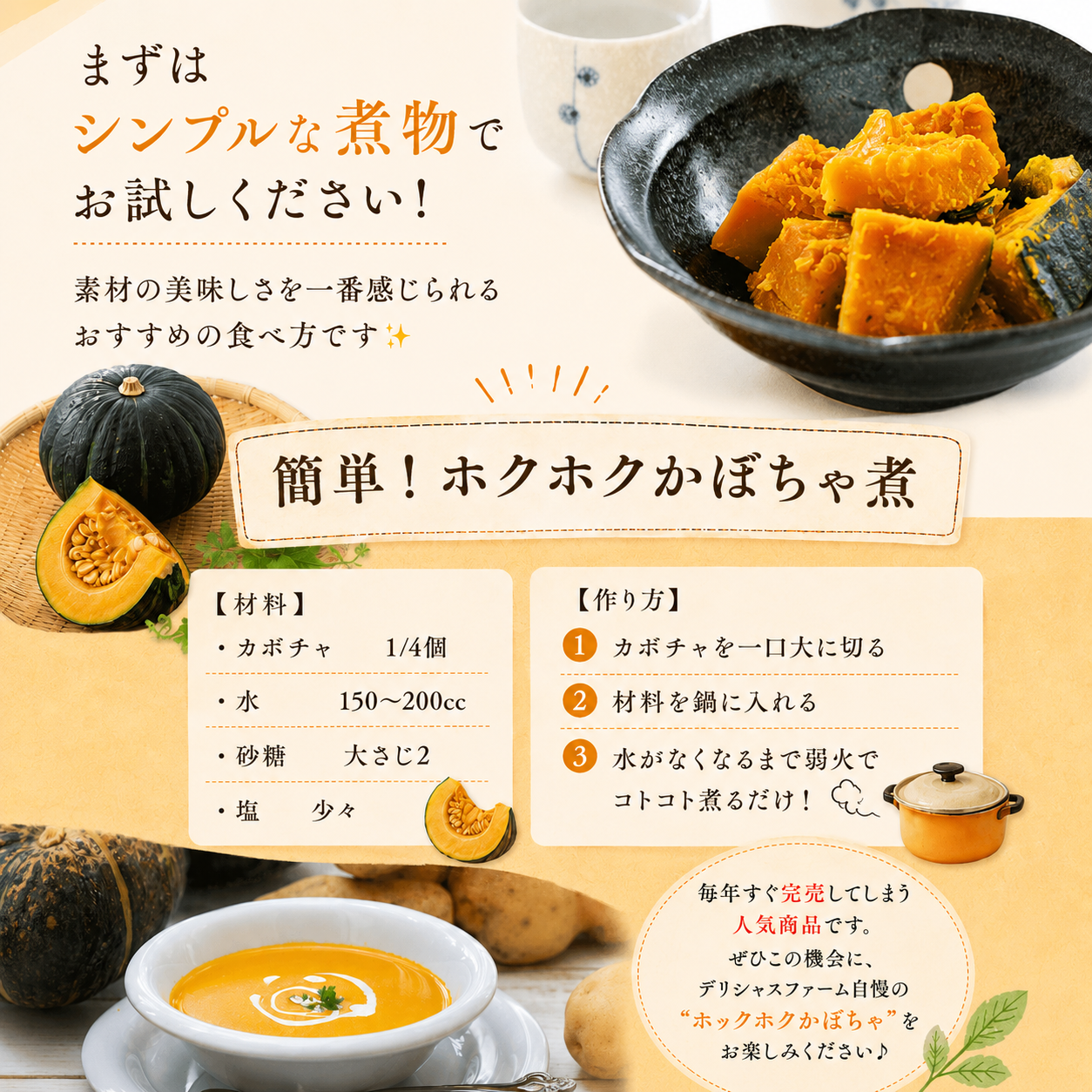 かぼちゃ 【デリシャスファームのかぼちゃ】ダークホース お試し小玉1キロ ※6月頃より順次発送予定 / 産地直送 カボチャ 南瓜