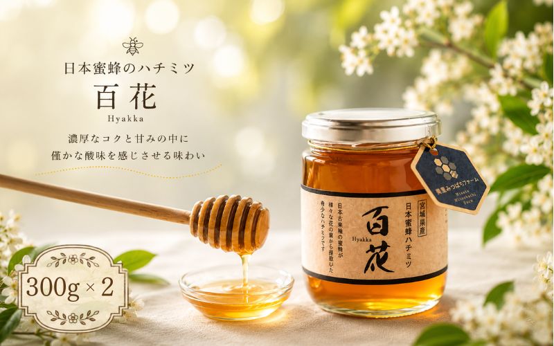日本蜜蜂のハチミツ 300g×2 瓶入り / はちみつ みつばち ハチミツ 天然 日本蜂蜜 蜂蜜