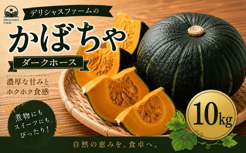 かぼちゃ 【デリシャスファームのかぼちゃ】ダークホース 10キロ ※6月頃より順次発送予定 / 産地直送 カボチャ 南瓜