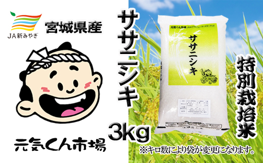 元気くん市場　ササニシキ 3kg /  精米 小分け 人気 ランキング  お米 米 ささにしき