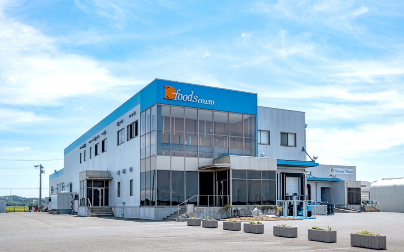 èµçããŒãºãã³ããŒã°30gã10åå
¥Ã2è¢ / ãã³ããŒã° ãè ããã ããŒãº ããŒãºãã³ããŒã°