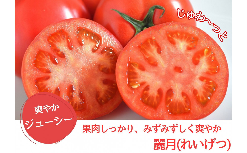 デリシャスファームのトマト(麗月)3キロ箱