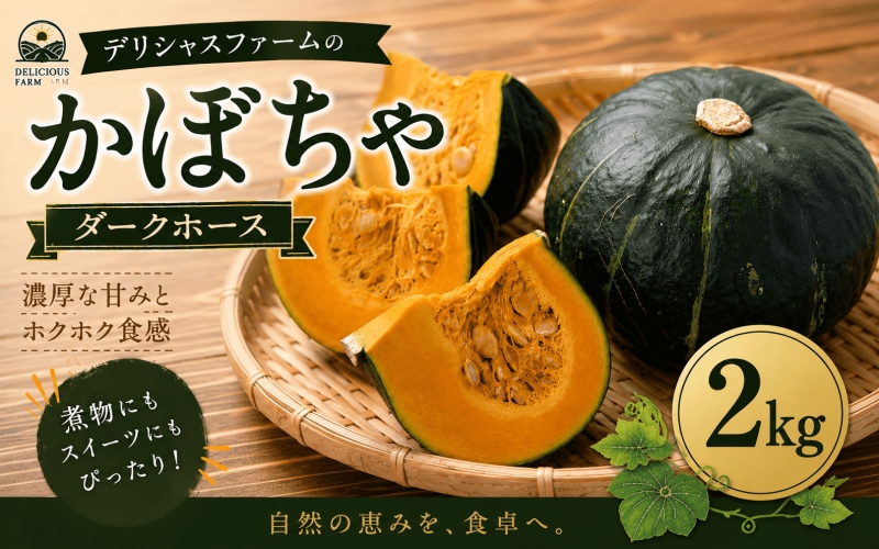 かぼちゃ 【デリシャスファームのかぼちゃ】ダークホース2キロ ※6月頃より順次発送予定 / 産地直送 カボチャ 南瓜 