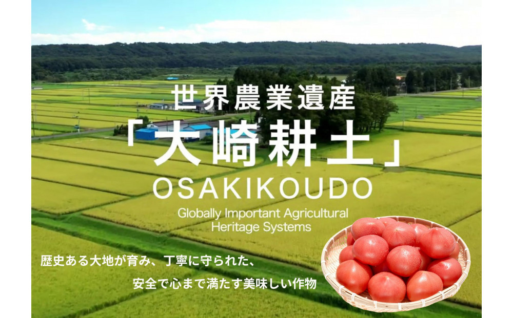 ããªã·ã£ã¹ãã¡ãŒã ã®ããã(éºæ)2ããç®±