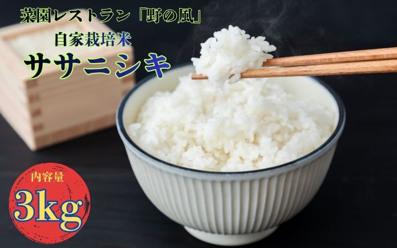 [令和7年産]数量限定 菜園レストラン「野の風」自家栽培米 ササニシキ3kg / 精米 小分け 人気 ランキング お米 米 ささにしき