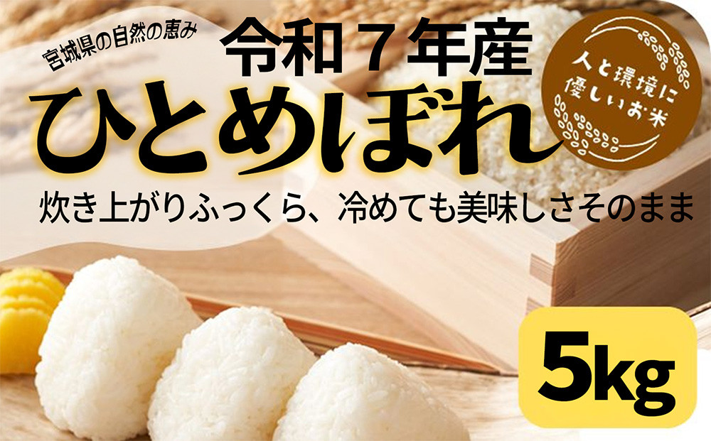 【令和7年産ひとめぼれ】宮城県産　精米5kg【数量限定】　　