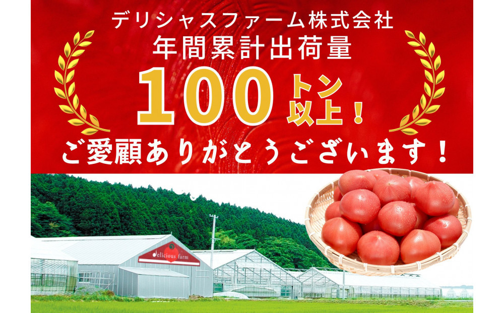 デリシャスファームのトマト(麗月)4キロ箱