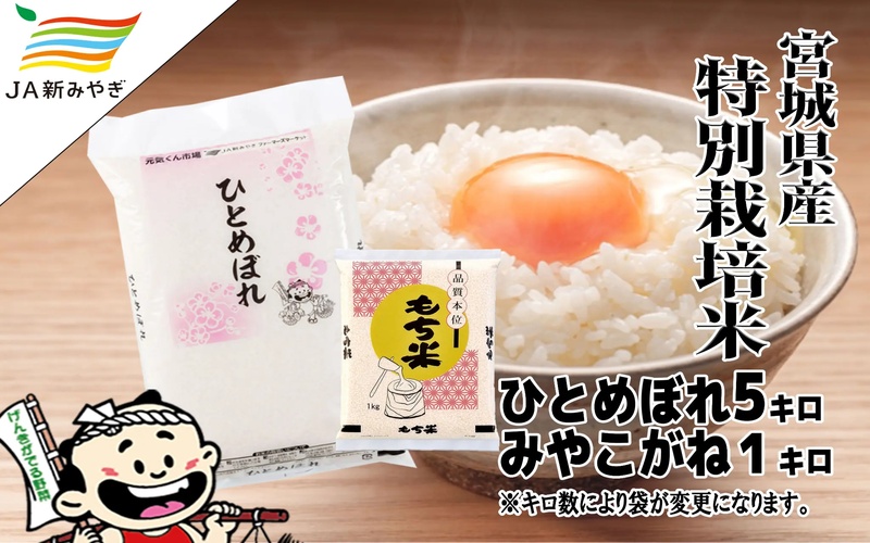 元気くん市場  宮城の美味しいお米・もち米セット /  精米 小分け 人気 ランキング  お米 米 つや姫