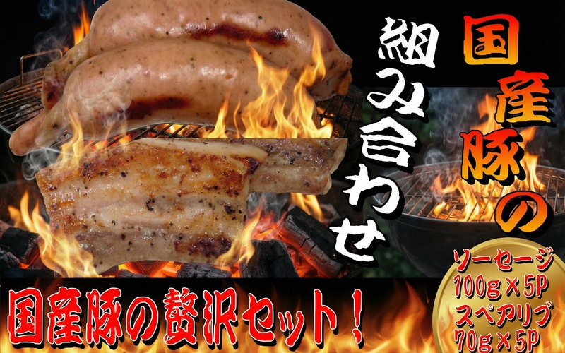国産豚スペアリブと国産豚骨付きソーセージセット / 和牛 牛 肉 豚 豚肉 国産 国産豚 国産牛 焼肉