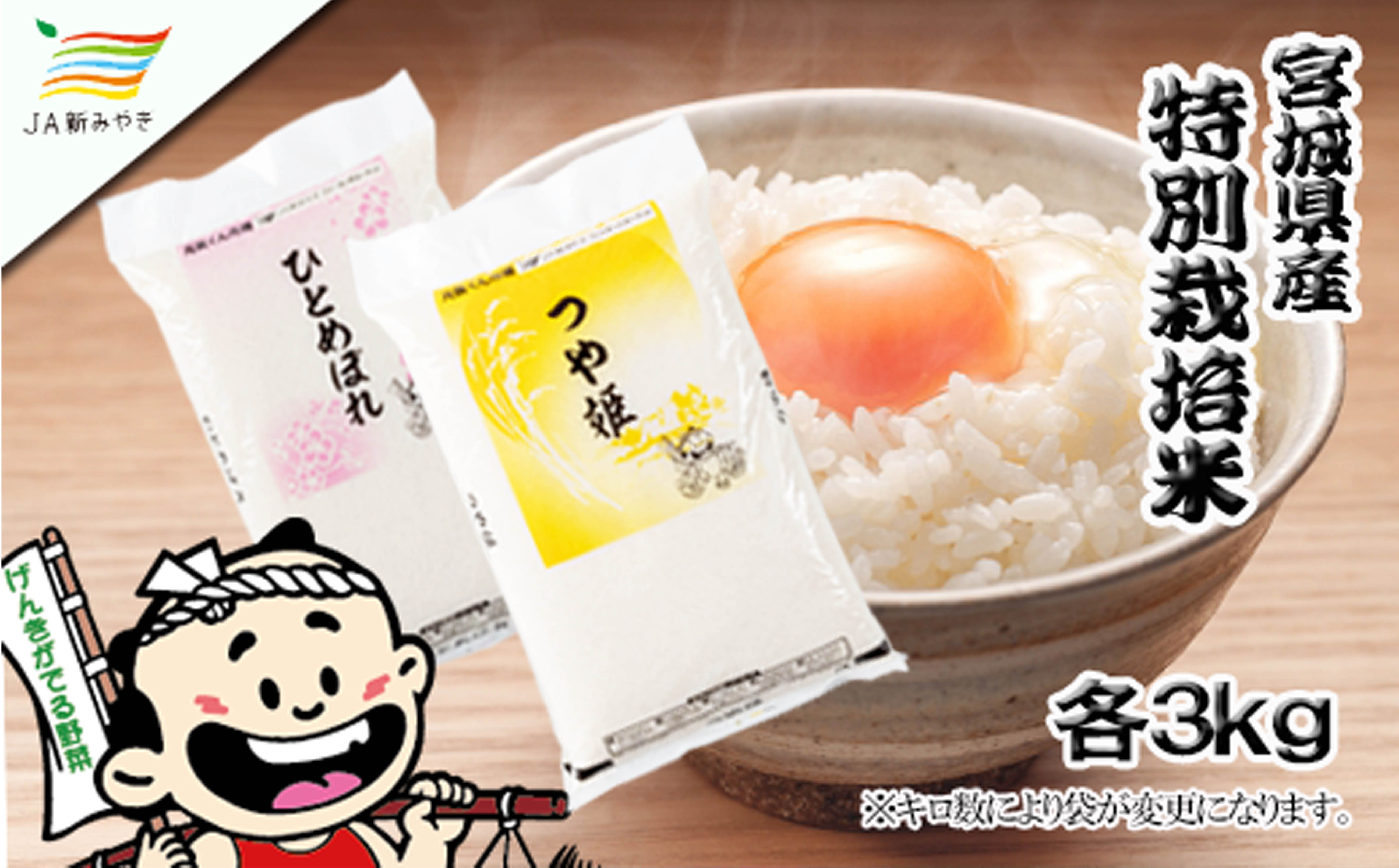 元気くん市場  宮城の美味しいお米食べ比べセット（Ｃ）/  精米 小分け 人気 ランキング  お米 米 つや姫