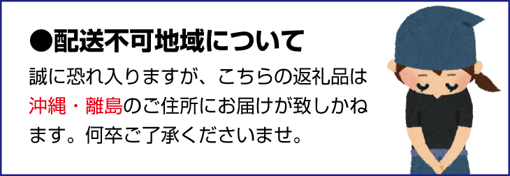 トマト【かれん】 マイルドかれん 訳あり 5kg / 野菜 トマト とまと