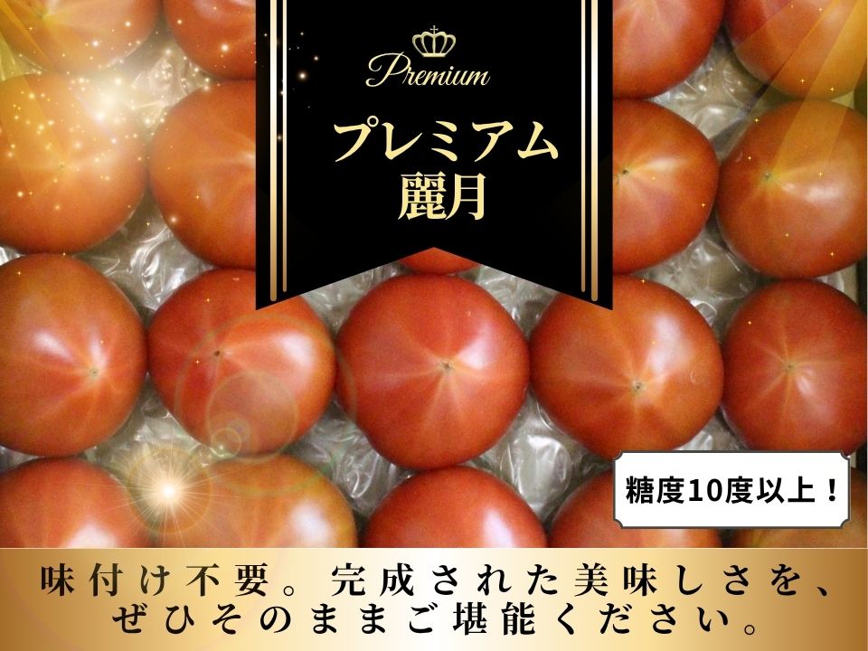 【糖度10度以上！】プレミアム麗月１kg ※沖縄・離島配送不可 / とまと 野菜 トマト