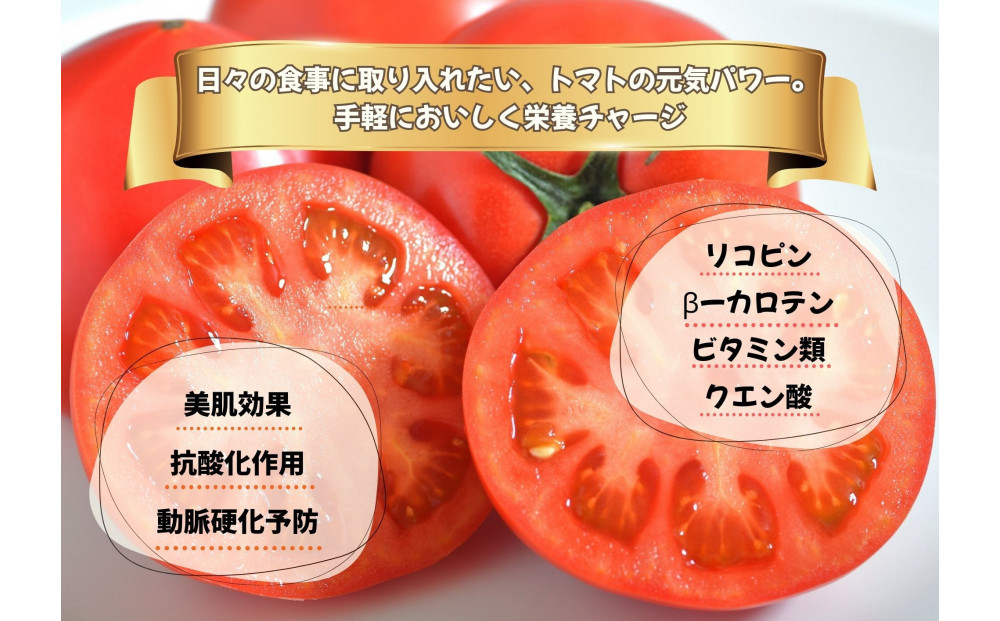 繝繝ェ繧キ繝」繧ケ繝輔ぃ繝シ繝縺ョ繝医槭ヨ(鮗玲怦)3繧ュ繝ュ邂ア