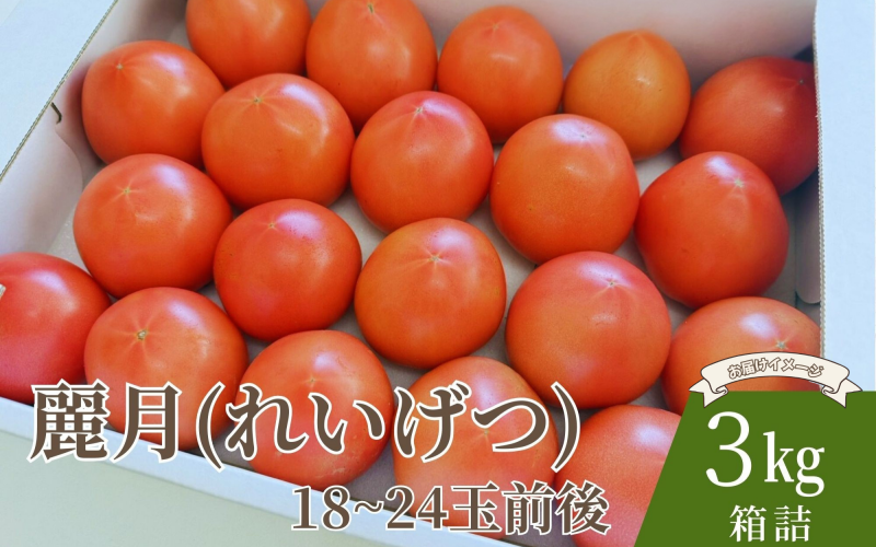デリシャスファームのトマト(麗月)3キロ箱 / とまと 野菜 トマト