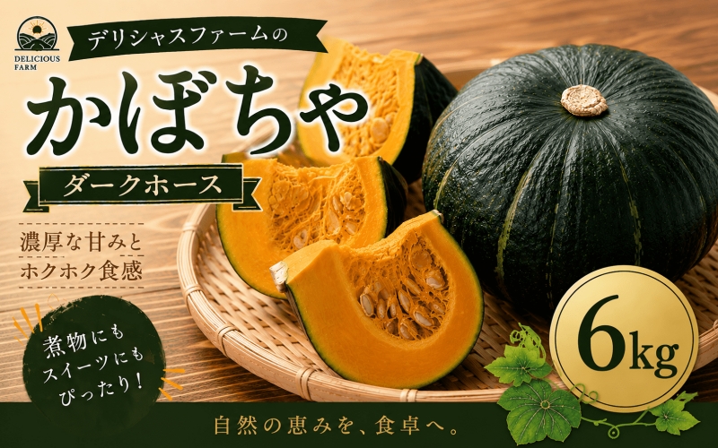 かぼちゃ 【デリシャスファームのかぼちゃ】ダークホース 6キロ ※6月頃より順次発送予定 / 産地直送 カボチャ 南瓜