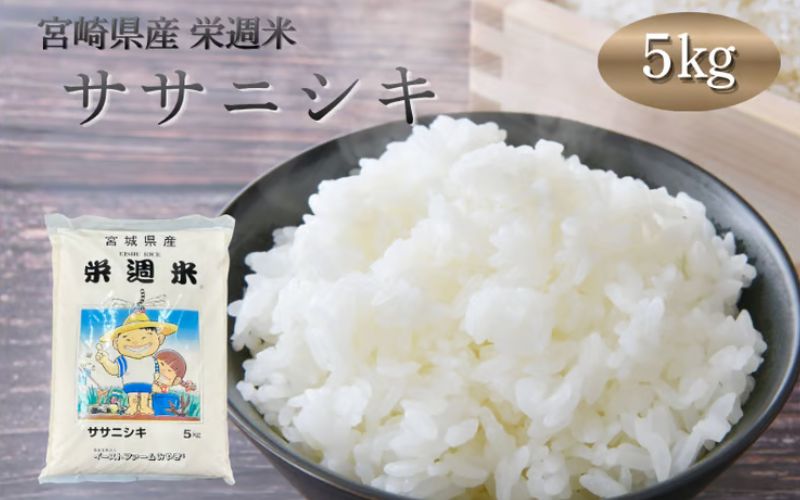 令和8年産 栄週米 ササニシキ（精米）５kg ※10月上旬より順次発送予定 /  精米 人気 ランキング  お米 米 