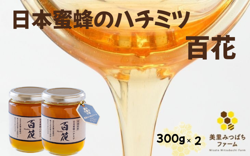 日本蜜蜂のハチミツ 300g×2 瓶入り / はちみつ みつばち ハチミツ 天然 日本蜂蜜 蜂蜜