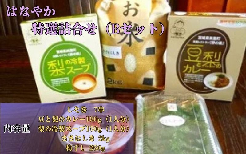 はなやか特選詰合せ（Ｂセット）