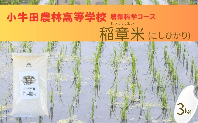 小牛田農林高校栽培米　コシヒカリ3kg  / 精米 小分けお米 米 玄米 こしひかり コシヒカリ