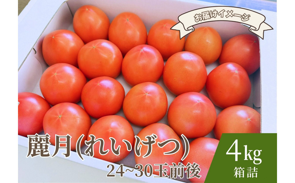 デリシャスファームのトマト(麗月)4キロ箱