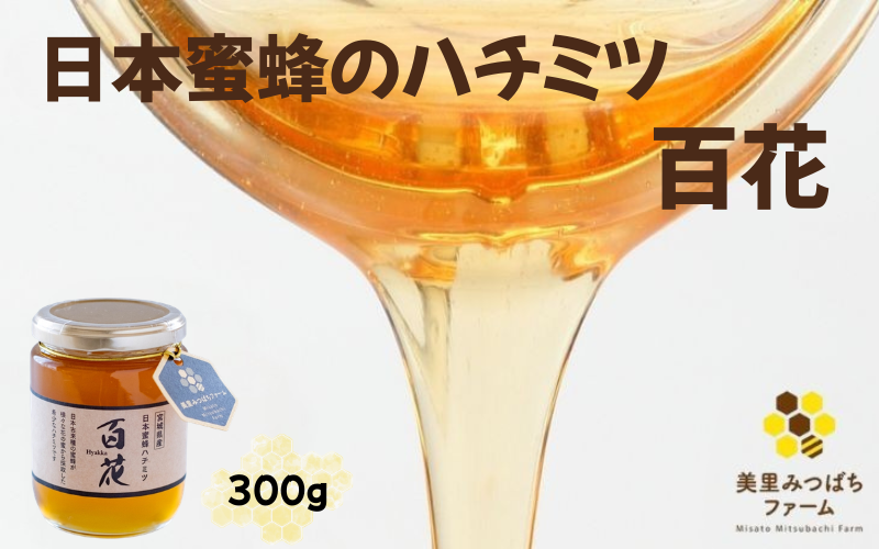 日本蜜蜂のハチミツ（300g）/ はちみつ みつばち ハチミツ 天然 日本蜂蜜 蜂蜜