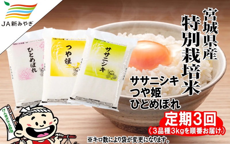 【定期便】元気くん市場　お米３品種順番でお届け（ササニシキ・つや姫・ひとめぼれ）　3kg×3回【3ヶ月連続でお届け】 /  精米 小分け 人気 ランキング 定期便 お米 米 精米 コシヒカリ ささにしき つや姫