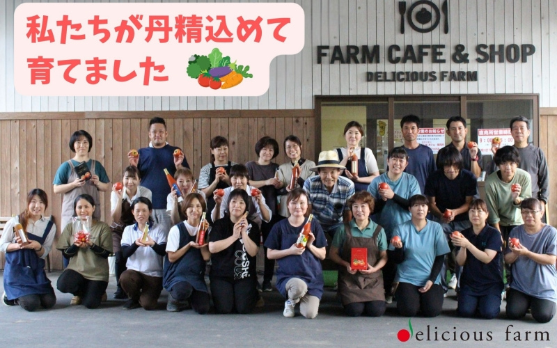 【デリシャスファームの干し芋】バラエティセット　/ さつまいも 芋 お芋 おやつ 干し芋 おいも