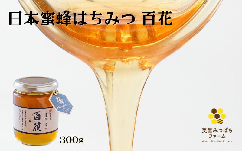 日本蜜蜂のハチミツ（300g）/ はちみつ みつばち ハチミツ 天然 日本蜂蜜 蜂蜜