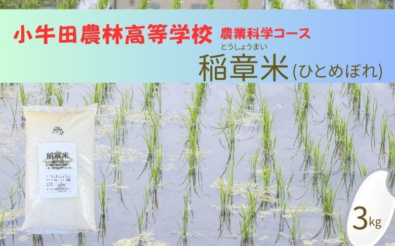 小牛田農林高校栽培米　ひとめぼれ 3kg  / 精米 小分けお米 米 玄米 ひとめぼれ