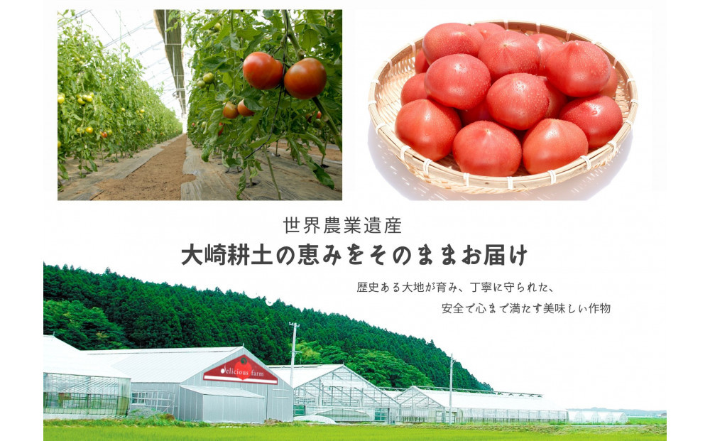 繝繝ェ繧キ繝」繧ケ繝輔ぃ繝シ繝縺ョ繝医槭ヨ(鮗玲怦)3繧ュ繝ュ邂ア