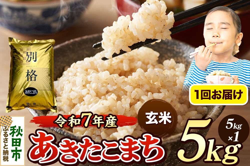 《令和7年産》 米 あきたこまち 5kg 【玄米】 秋田県産