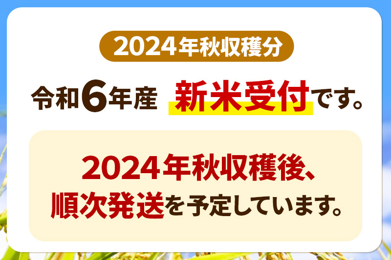 《新米先行受付》《定期便12ヶ月》 あきたこまち 20kg(5kg×4袋) 【白米】秋田県産 令和6年産 こまちライン