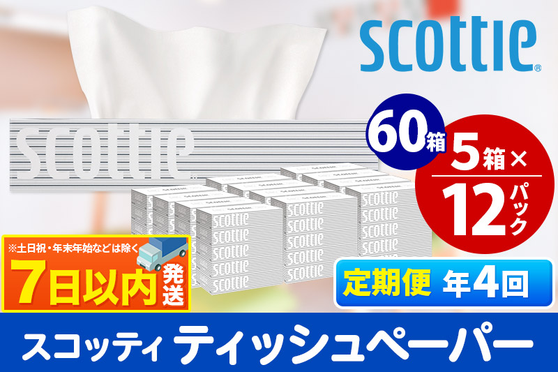 《3ヶ月ごとに4回お届け》定期便 ティッシュペーパー スコッティ 200組 60箱(5箱×12パック) ティッシュ レビューキャンペーン中 7日以内発送