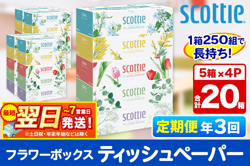 《4ヶ月ごとに3回お届け》定期便 ティッシュペーパー スコッティ フラワーボックス250組 20箱(5箱×4パック) ティッシュ 秋田市オリジナル【レビューキャンペーン中】