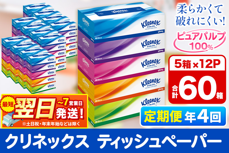 《3ヶ月ごとに4回お届け》定期便 ティッシュ クリネックス ティシュー 5箱×12パック 最短翌日発送