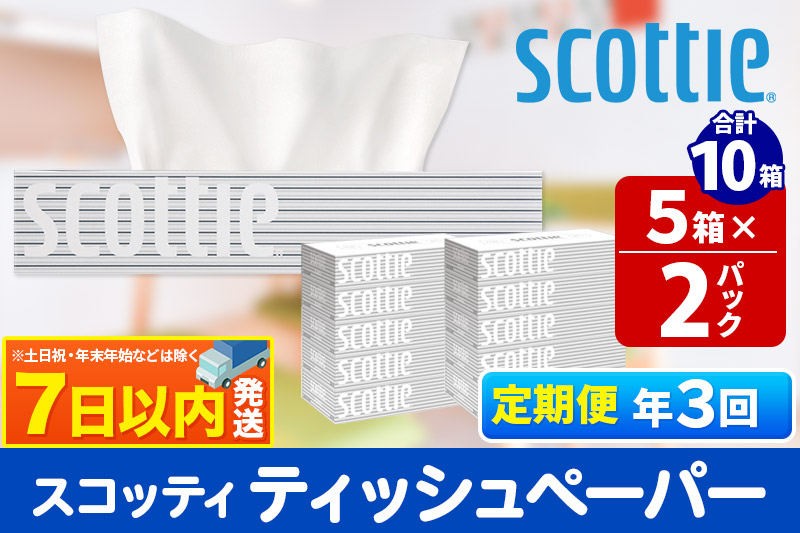 《4ヶ月ごとに3回お届け》定期便 ティッシュペーパー スコッティ 200組 10箱(5箱×2パック) ティッシュ レビューキャンペーン中 秋田市オリジナル