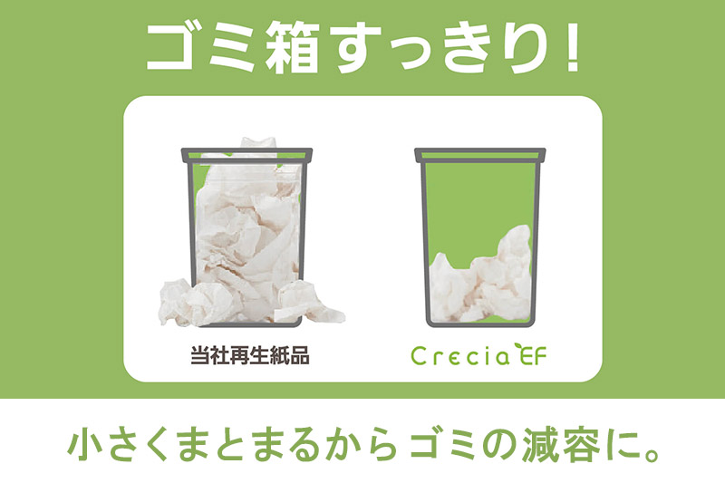 《6ヶ月ごとに2回お届け》定期便 ハンドタオル クレシアEF ソフトタイプ200 スリムEX 2枚重ね 200組(400枚)×15パック 最短翌日発送 秋田市オリジナル【レビューキャンペーン中】