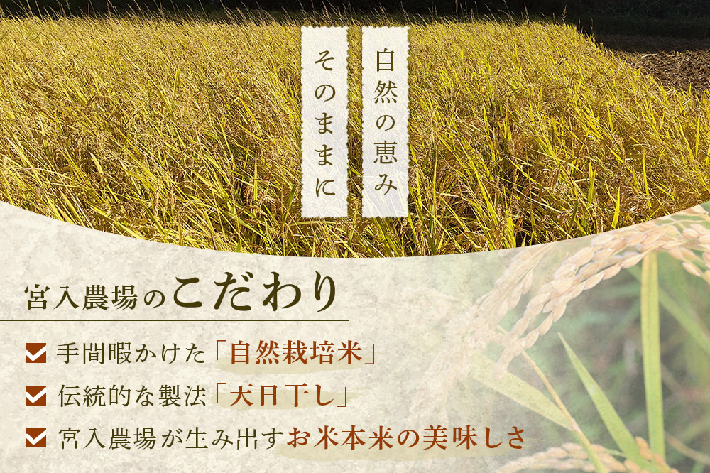 〈先行予約 令和7年産 新米〉自然栽培米「亀ノ尾」玄米10kg 天日干し 農薬・肥料不使用 