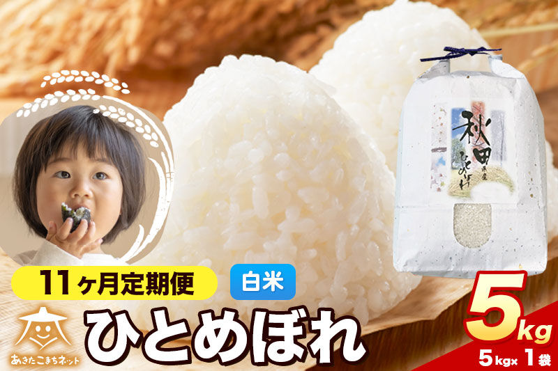 令和8年産 新米受付《定期便11ヶ月》ひとめぼれ 5kg【白米】秋田県産 [ひとめぼれ お米 精米 小分け 定期便 5kg袋]