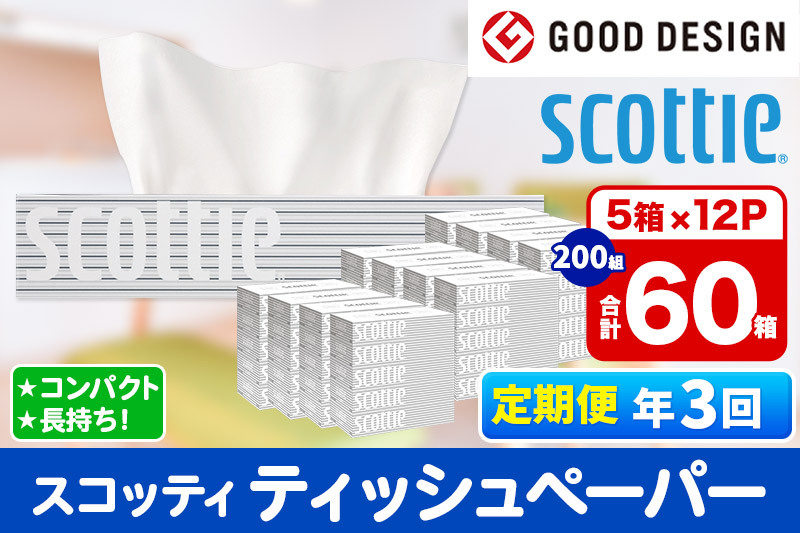 《4ヶ月ごとに3回お届け》定期便 ティッシュペーパー スコッティ 200組 60箱(5箱×12パック) ティッシュ【レビューキャンペーン中】