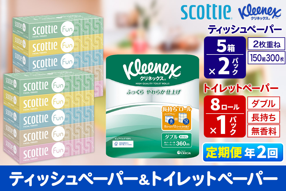 《6ヶ月ごとに2回お届け》定期便 クリネックス トイレットペーパー 長持ちロール ダブル 8ロール×1パック ＆ ティッシュペーパー スコッティ ファン 150組 5箱×2パック 秋田市オリジナル