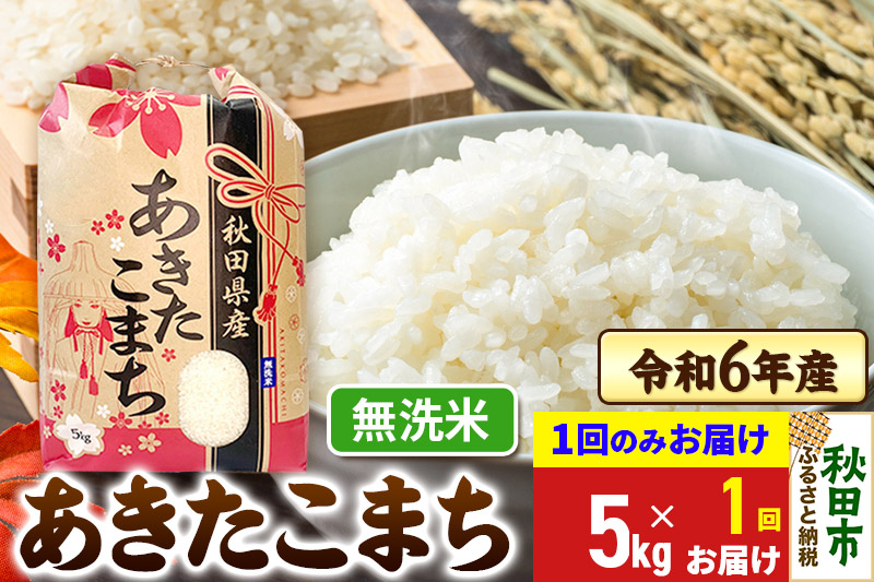 あきたこまち 5kg 令和6年産 新米 【1回のみお届け】【無洗米】秋田県産