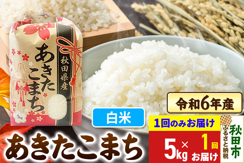 あきたこまち 5kg 令和6年産 新米 【1回のみお届け】【白米】秋田県産