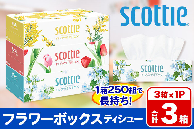ティッシュペーパー スコッティ ティシュー フラワーボックス 250組 3箱パック×1パック 秋田市オリジナル [ティッシュ ボックスティッシュ]
