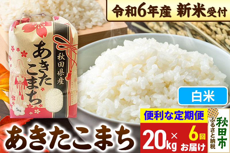 《新米先行受付》《定期便6ヶ月》 あきたこまち 20kg(5kg×4袋) 【白米】秋田県産 令和6年産 こまちライン